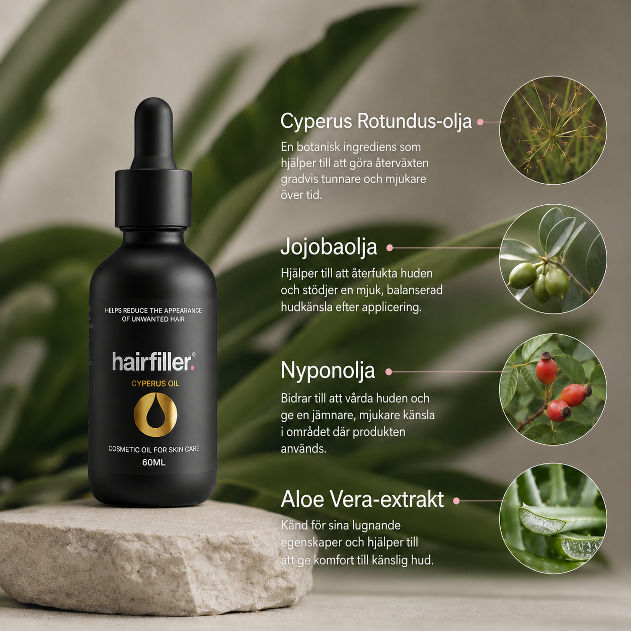 Cyperus Oil